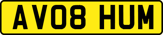 AV08HUM