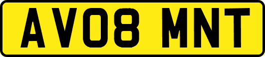 AV08MNT