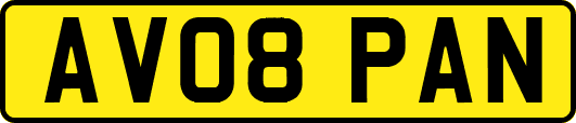 AV08PAN