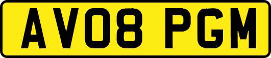 AV08PGM