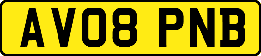 AV08PNB
