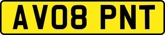 AV08PNT