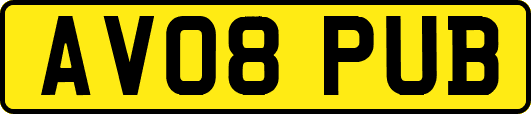 AV08PUB