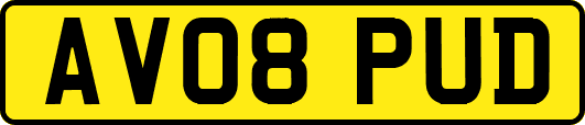 AV08PUD