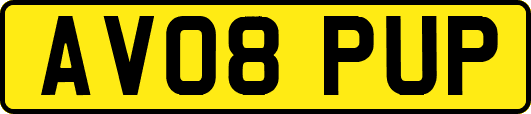 AV08PUP