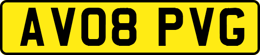 AV08PVG