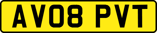 AV08PVT