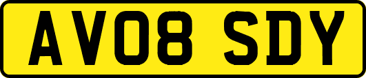 AV08SDY