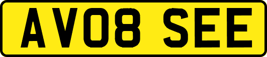 AV08SEE