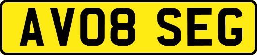 AV08SEG