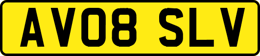 AV08SLV