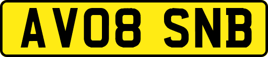 AV08SNB