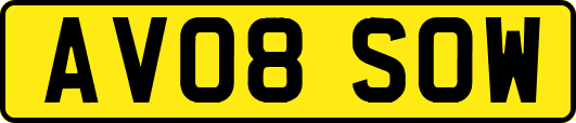 AV08SOW