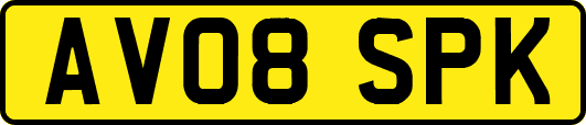 AV08SPK