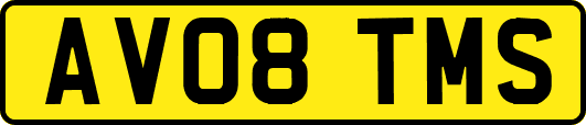 AV08TMS