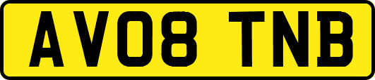 AV08TNB