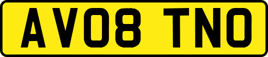 AV08TNO