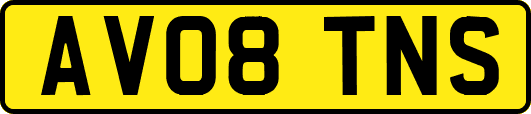 AV08TNS
