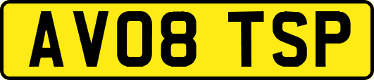 AV08TSP