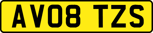 AV08TZS