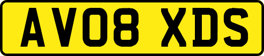 AV08XDS