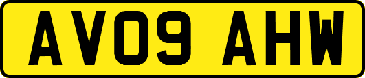 AV09AHW