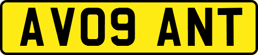 AV09ANT