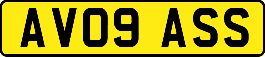 AV09ASS