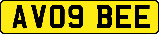AV09BEE