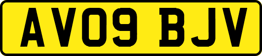 AV09BJV
