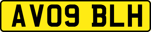 AV09BLH