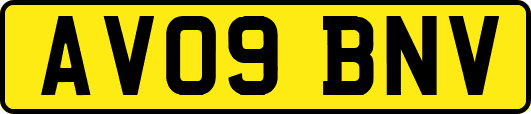AV09BNV