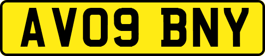 AV09BNY