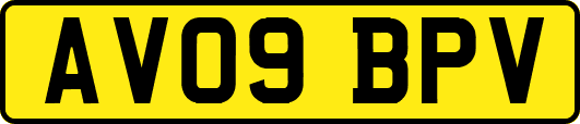 AV09BPV