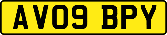 AV09BPY