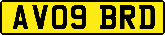 AV09BRD