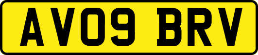 AV09BRV