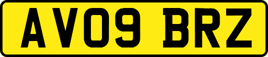 AV09BRZ