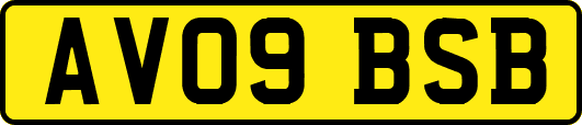 AV09BSB