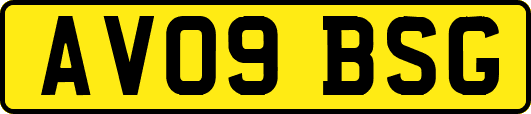 AV09BSG