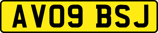 AV09BSJ