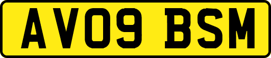 AV09BSM