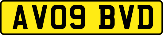 AV09BVD