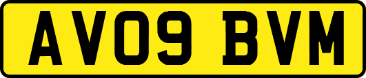 AV09BVM