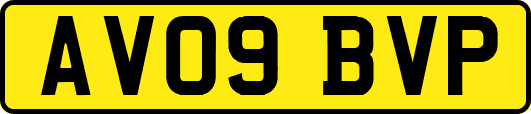 AV09BVP