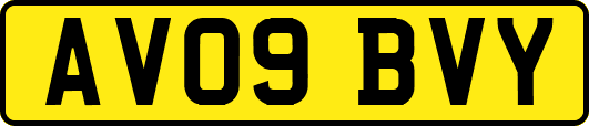 AV09BVY