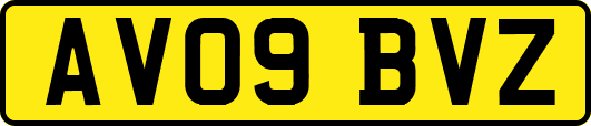 AV09BVZ