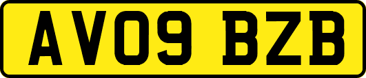 AV09BZB