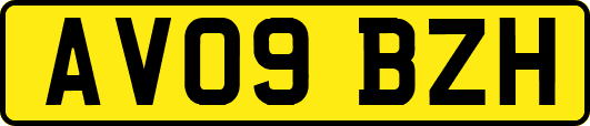 AV09BZH