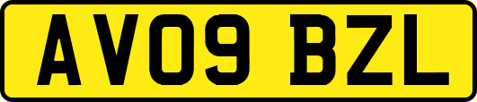 AV09BZL